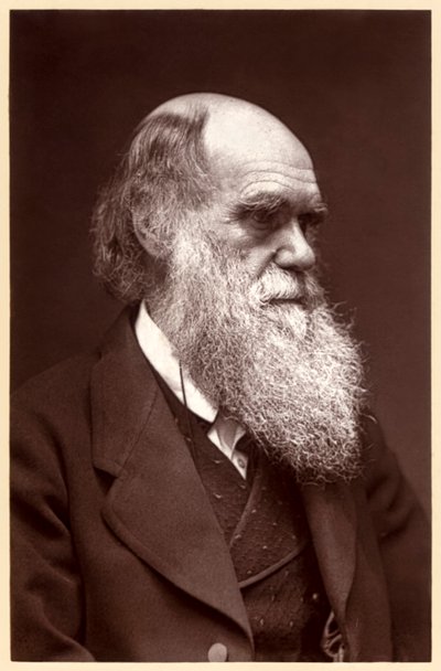 Charles Darwin: Engelse natuuronderzoeker door Elliott und Fry Studio