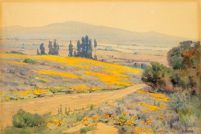 Lente Landschap in Californië, ca. 1920 door Elmer Wachtel