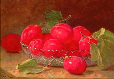 Stilleven, 1895 door Eloise Harriet Stannard