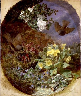 Winterkoninkjes die hun jongen voeren in een nest (gesigneerd en gedateerd 1876) door Eloise Harriet Stannard