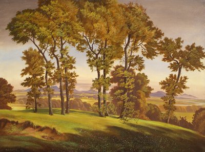 Landschap met bomen door Emil Ernst Heinsdorff