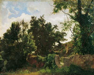 Kasteelmuur in Plankenberg door Emil Jakob Schindler