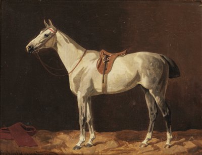 Een gezadeld grijs paard wacht in een stal door Emil Volkers