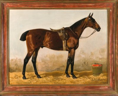Bruin door Emil Volkers