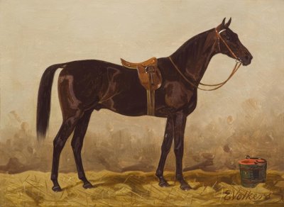 Gesettelde zwarte hengst door Emil Volkers