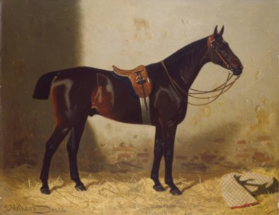 Paardenportret door Emil Volkers