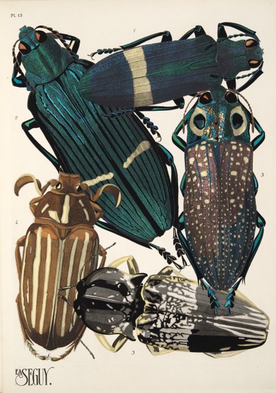 Plaat 13 uit Insectes, uitgegeven in de jaren 1930 door Émile Allain Séguy