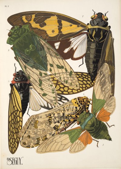 Plaat 2 uit Insectes, uitgegeven jaren 1930 door Émile Allain Séguy
