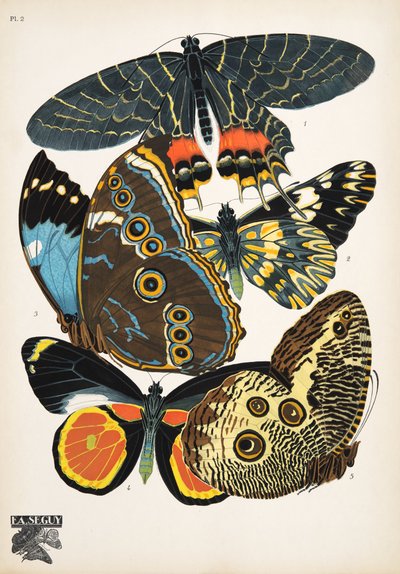 Plaat 2 uit Papillons, uitgegeven in 1925 door Émile Allain Séguy