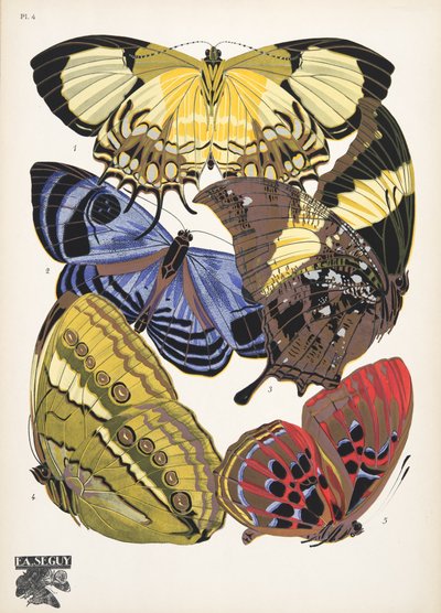 Plaat 4 uit Papillons, uitgegeven in 1925 door Émile Allain Séguy