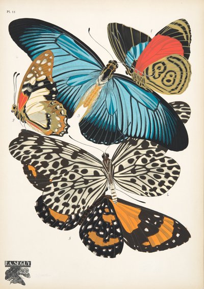 Plaat 11, uit Papillons, pub. 1925 door Émile Allain Séguy