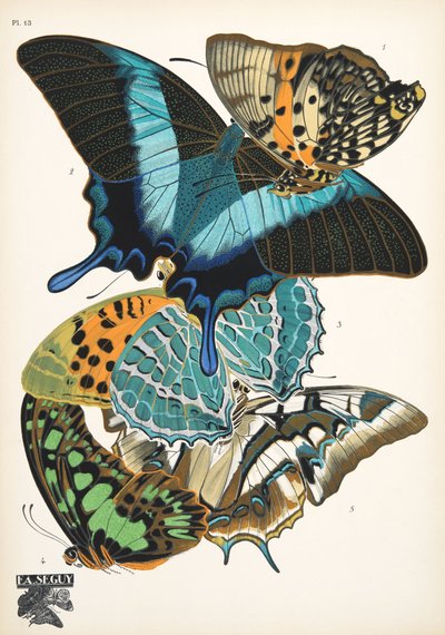 Plaat 13, uit Papillons, pub. 1925 door Émile Allain Séguy