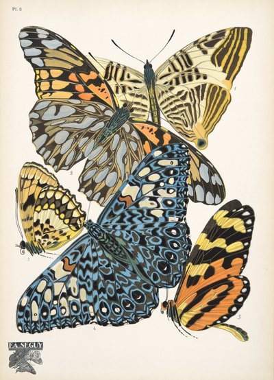 Plaat 3, uit Papillons, pub. 1925 door Émile Allain Séguy