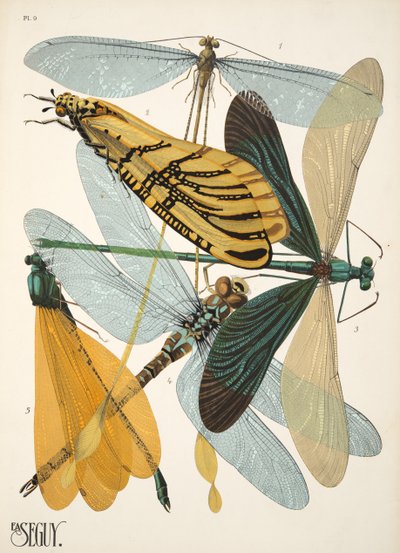 Plaat 9 uit Insectes, uitgegeven in de jaren 1930 door Émile Allain Séguy