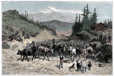 Alpen: de jodel of vertrek van kuddes (koeien, geiten) naar de weiden. Illustratie door Emile Bayard voor het boek 