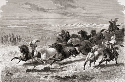 Argentijnse gaucho