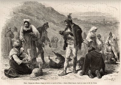 De boeren in de omgeving van Pisino (Kroatië), verzamelen zich voor de verkoop van hun landbouwproducten op de markt: gevogelte, biggetjes..., gravure naar een tekening van Emile Bayard ter illustratie van de reis in Istrië en Dalmatië, in 1874, door Charl door Emile Antoine Bayard