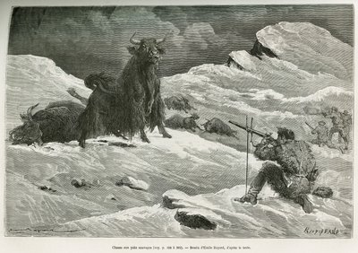 Jachtscène met wilde jak, tekening door Emile Bayard ter illustratie van de reis naar Mongolië en het land van de Tangoutes van 1870 tot 1873, door Luitenant Kolonel Prjewalski. Gravure in Le tour du monde door Emile Antoine Bayard
