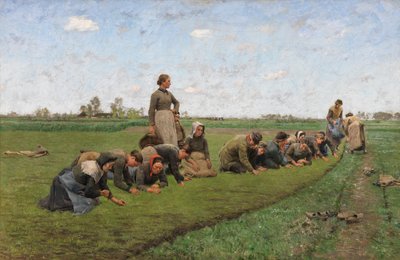 Vlaswieden in Vlaanderen door Emile Claus
