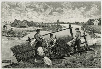 De roest van vlas (maceratie om de scheiding van de schors van de stengel te vergemakkelijken) in de Lys (rivier in het noorden van Frankrijk en België). Gravure door Emile Claus, ter illustratie van het verhaal "La Belgique", door Camille Lemonnier, schri door Emile Claus