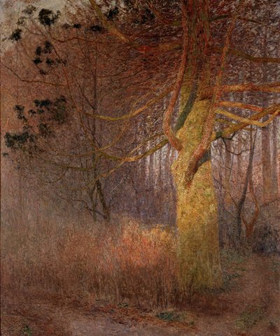  door Emile Claus