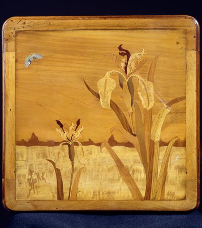 Art Nouveau stijl tafel, detail, Frankrijk, 20e eeuw door Emile Galle