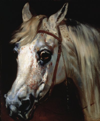 Hoofd van een Arabisch paard, ca. 1840-50 door Emile Jean Horace Vernet