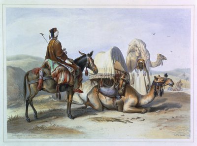 Kafila met een kameel die een hodesh draagt, illustratie uit 