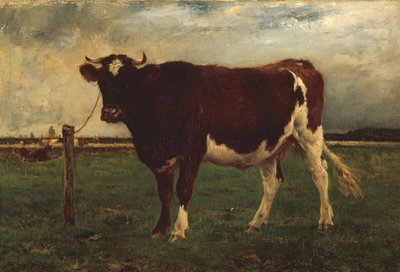Studie van een koe door Emile van Marcke de Lummen