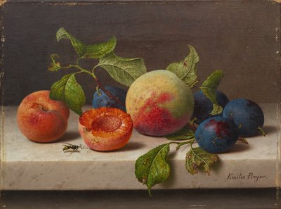 Vruchtenstilleven door Emilie Preyer