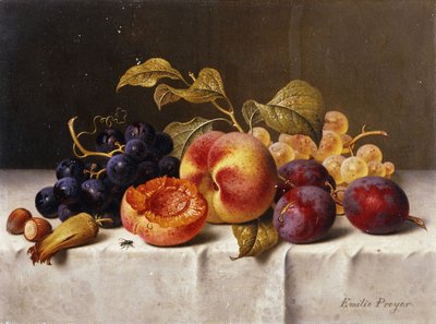 Druiven, Perziken, Pruimen en Noten op een Gedrapeerde Tafel door Emilie Preyer