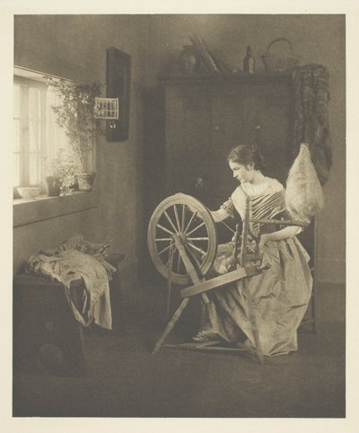 Spinnen door Emilie V. Clarkson
