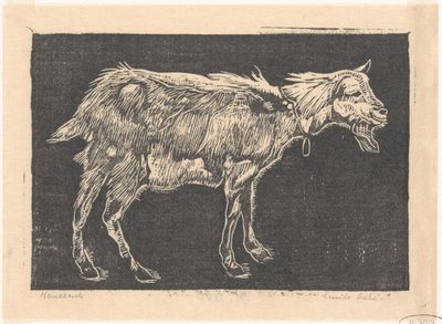 Geit door Emilius Wilhelmus Dehé (signed by artist)