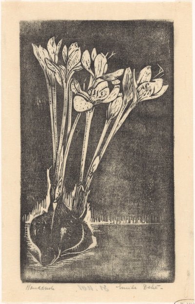 Herfsttijloos door Emilius Wilhelmus Dehé (signed by artist)