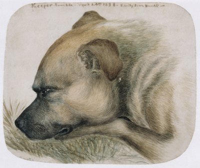 Keeper - uit het leven, 1838 door Emily Bronte