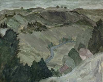 De kronkelende Valley Road door Emily Tingey