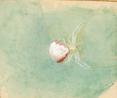 Porselein-Witte Spin door Emma Beach Thayer