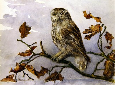 Een Uil door Emma Cooper