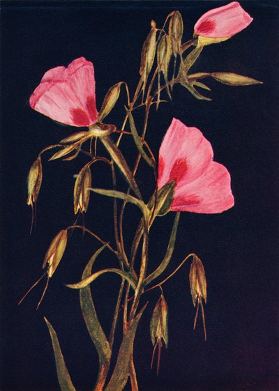 Afscheid van de lente, ca. 1915 door Emma Graham Clock