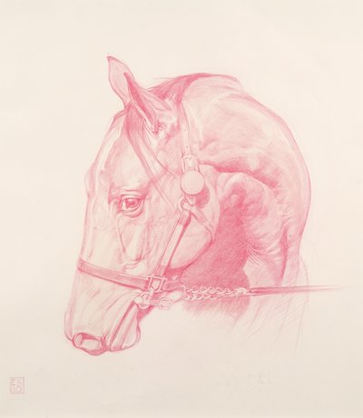 Portret Hoofd, 2010 door Emma Kennaway