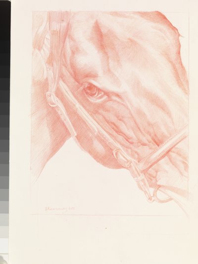 Portret Hoofd, 2012 door Emma Kennaway