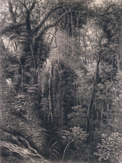 Uitzicht op de Kloof boven Apia, Upolu, West-Samoa, 1877 door Emma Sandys