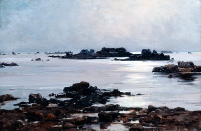 Île de Sein, 1884 door Emmanuel Lansyer
