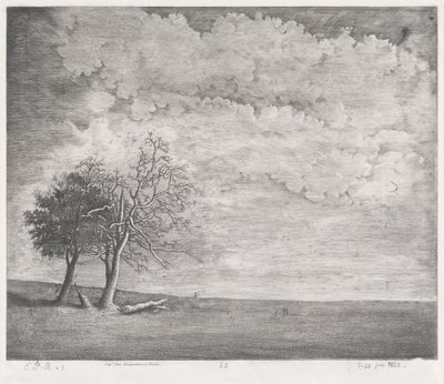 Een heide door Emmanuel Phélippes Beaulieu