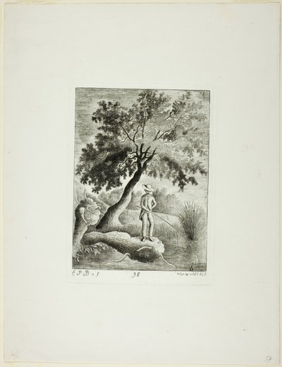 De Visser door Emmanuel Phélippes Beaulieu