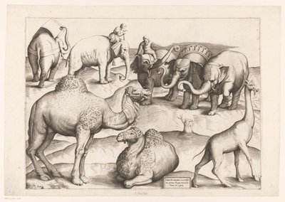 Acht dieren door Enea Vico (attributed to)