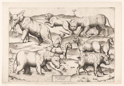 Negen dieren door Enea Vico (attributed to)
