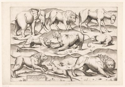 Negen wilde dieren door Enea Vico (attributed to)