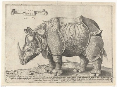 Neushoorn door Enea Vico