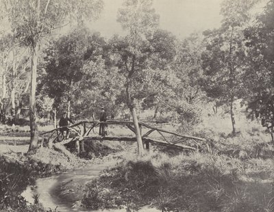 Een Rustieke Brug, Ballarat Waterreservaat door English Photographer
